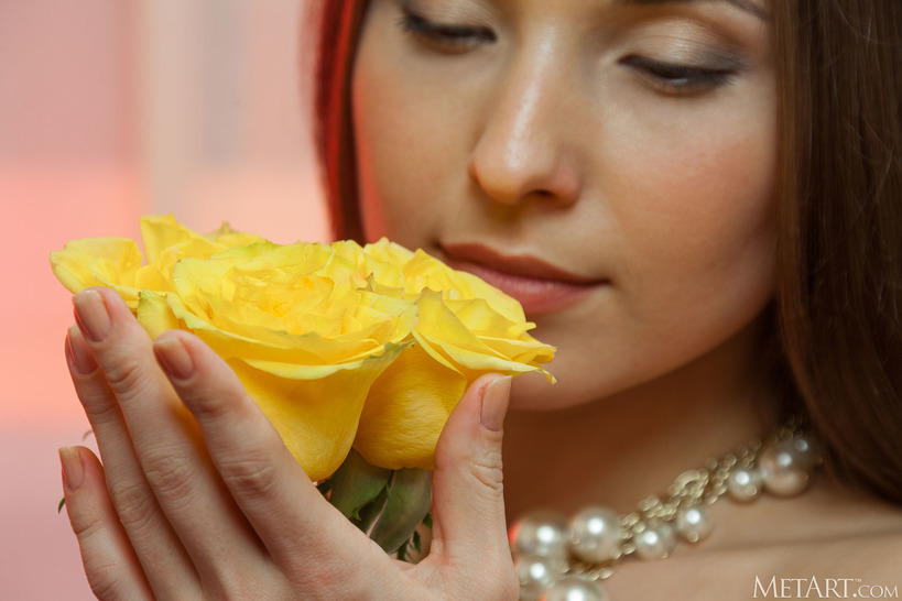 Yellow Rose 04