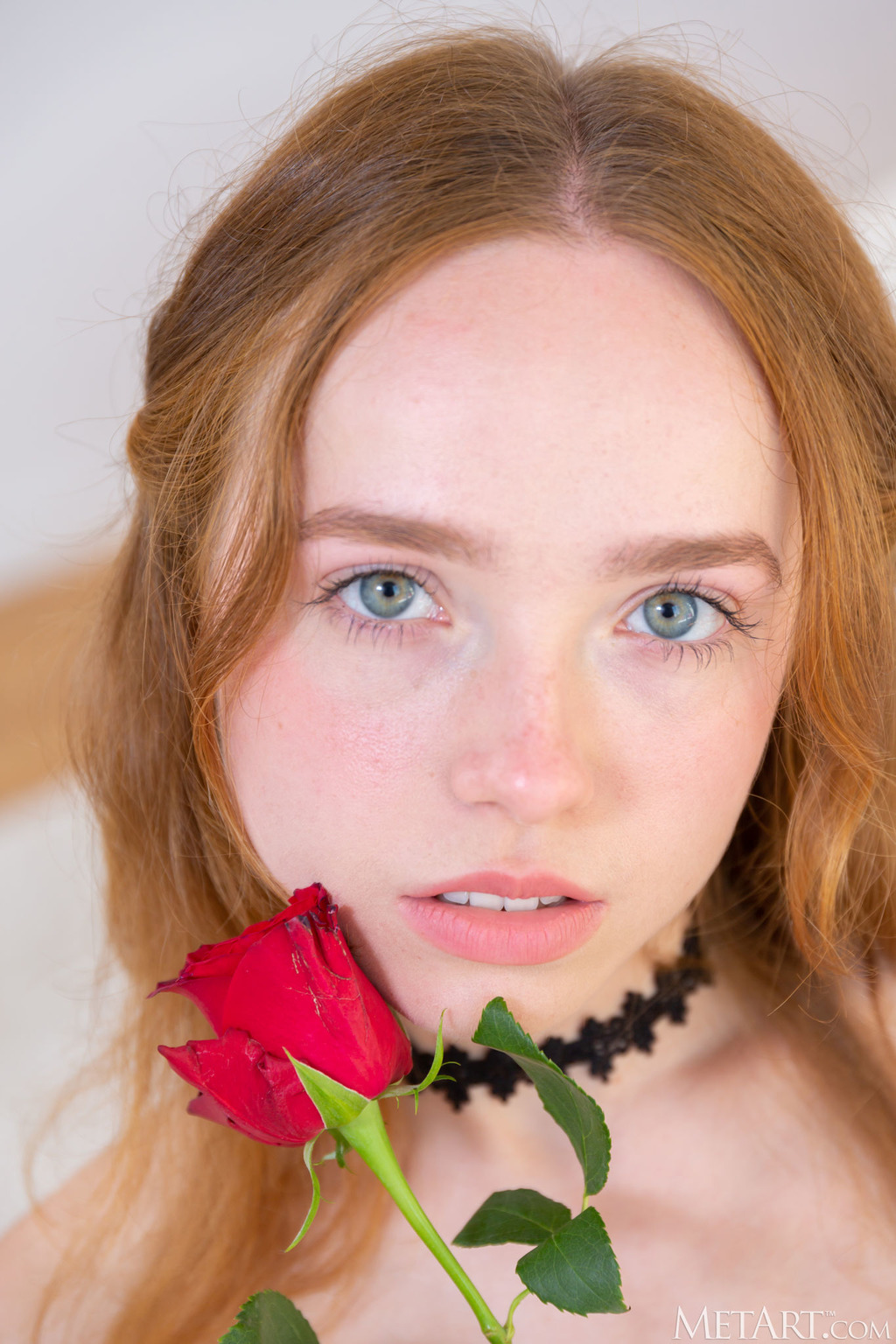 Rosy Lace 16