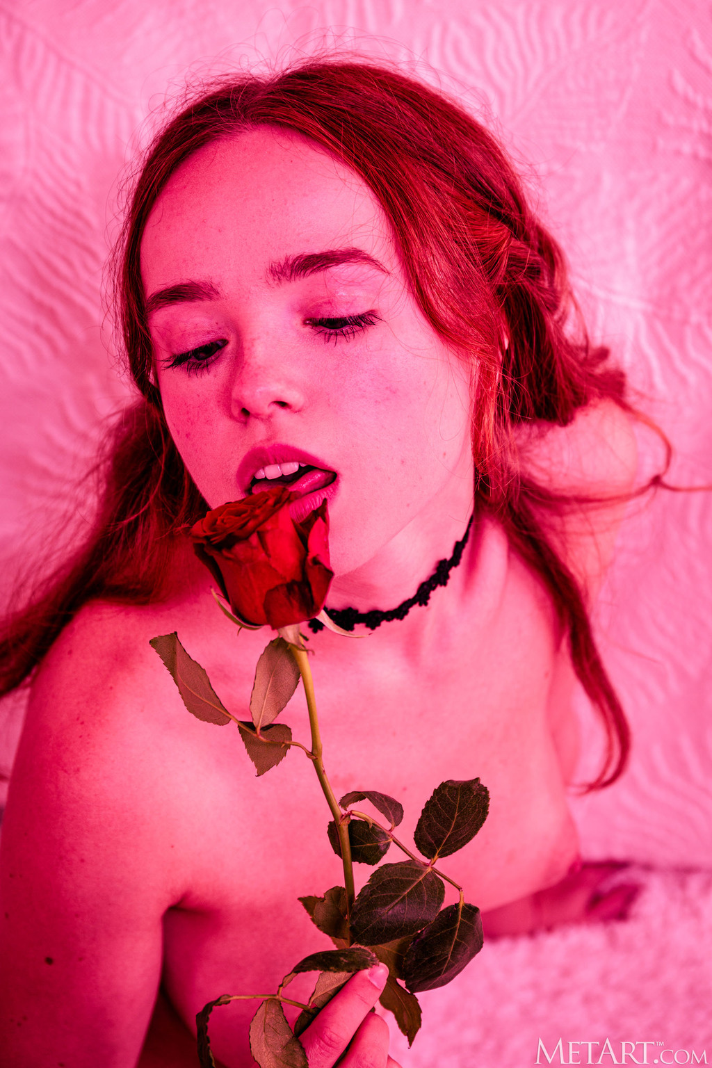 Rosy Lace 20